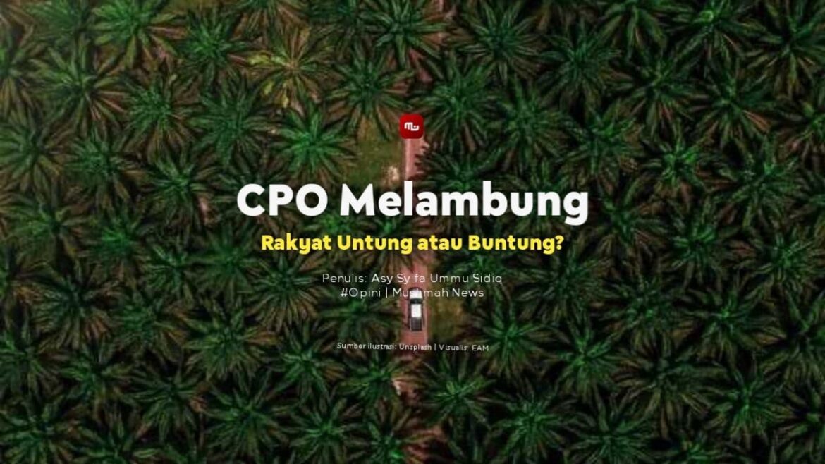 CPO Melambung, Rakyat Untung atau Buntung?