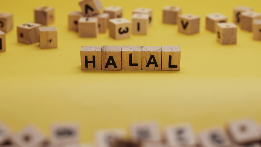 [Nafais Tsamarat] Usaha yang Halal
