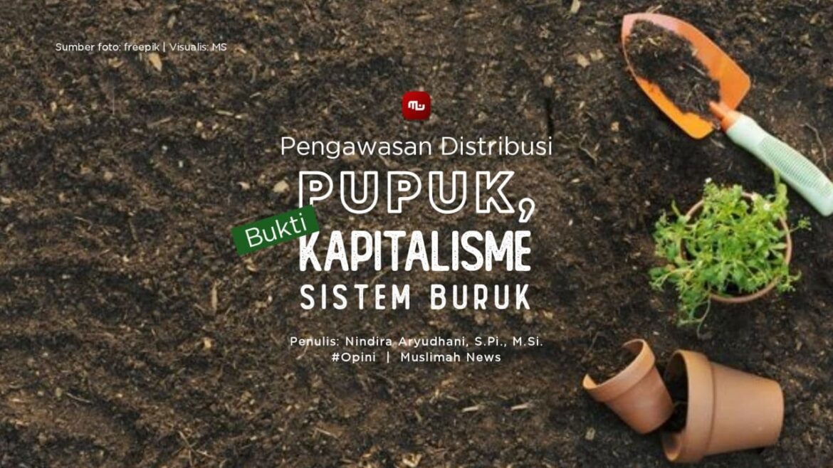 Pengawasan Distribusi Pupuk, Bukti Kapitalisme Sistem Buruk