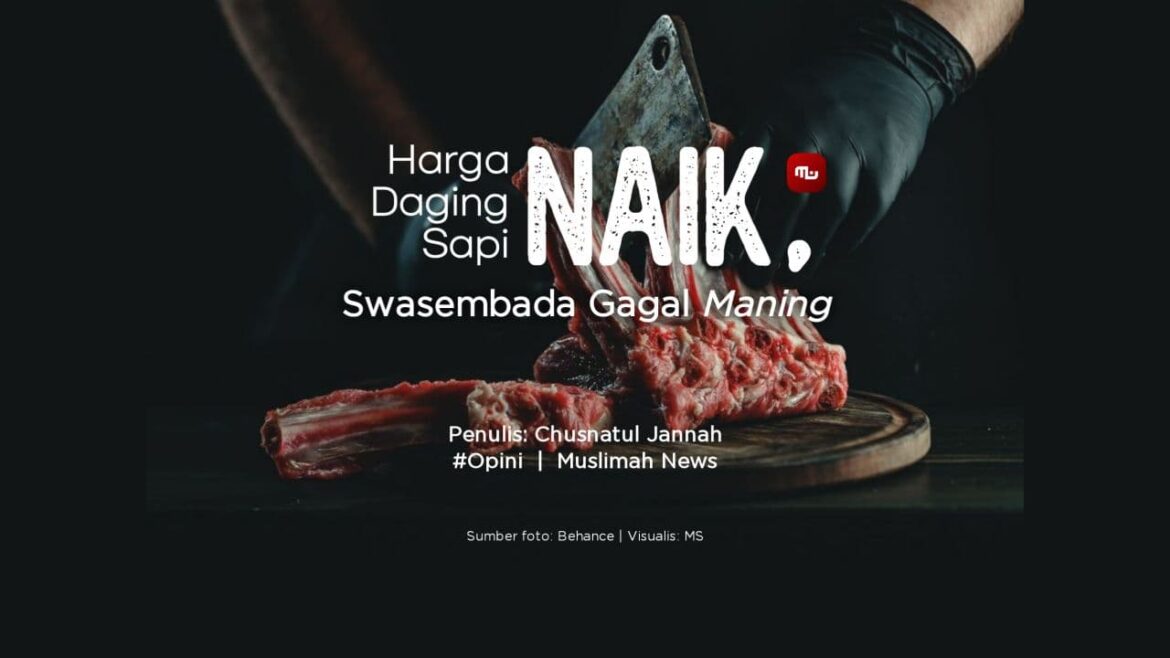Harga Daging Sapi Naik, Swasembada Gagal Maning