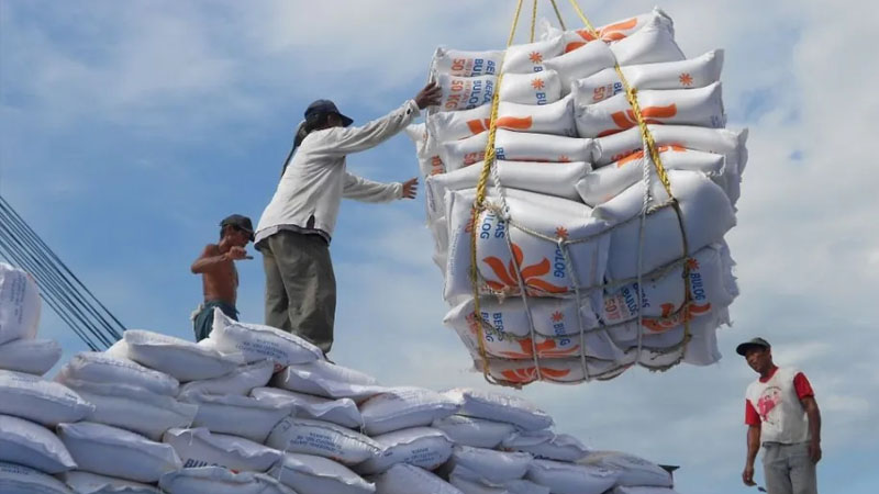 Harga Beras Enggan Turun, Menyoal Politik Pangan Kapitalisme