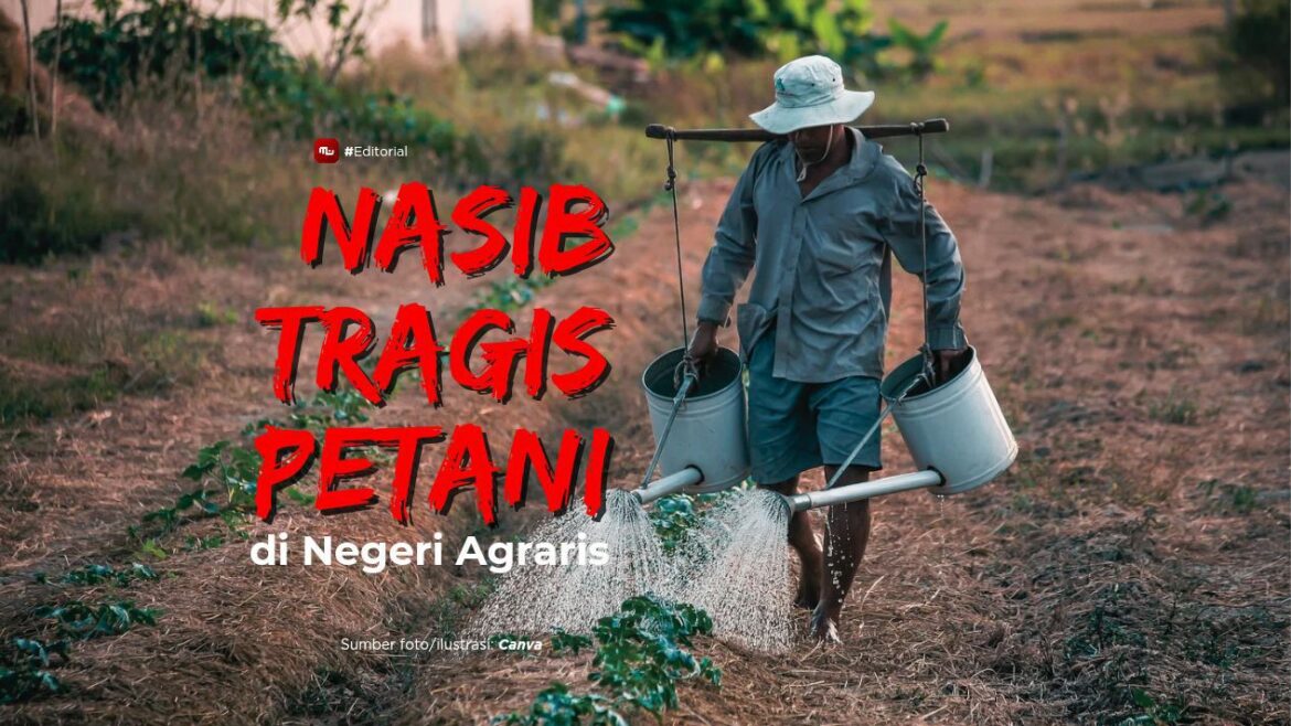 [Editorial] Nasib Tragis Petani di Negeri Agraris