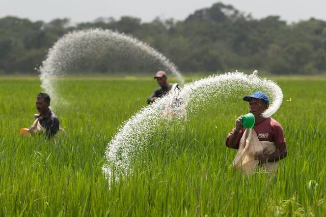 Krisis Pangan di Negeri Agraris, Ketika Separuh Rakyat Tidak Mampu Makan Sehat